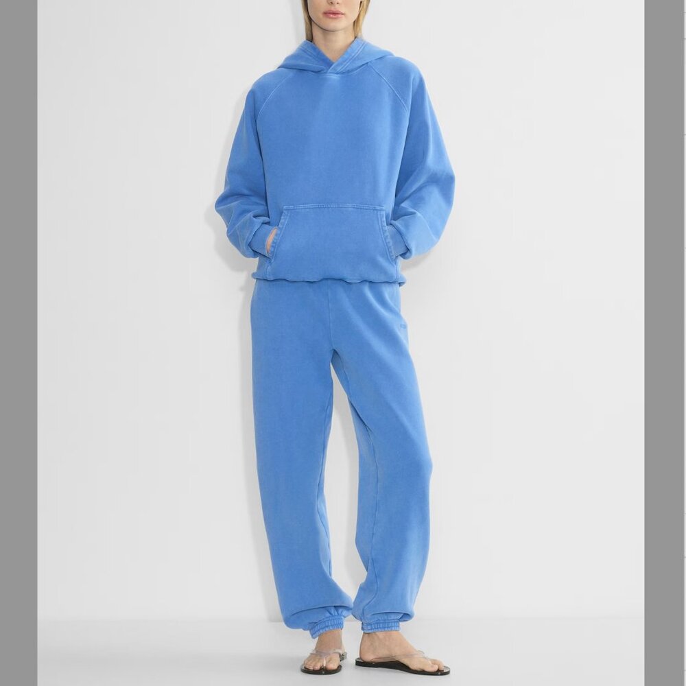 ARITZIA blue Sweatset